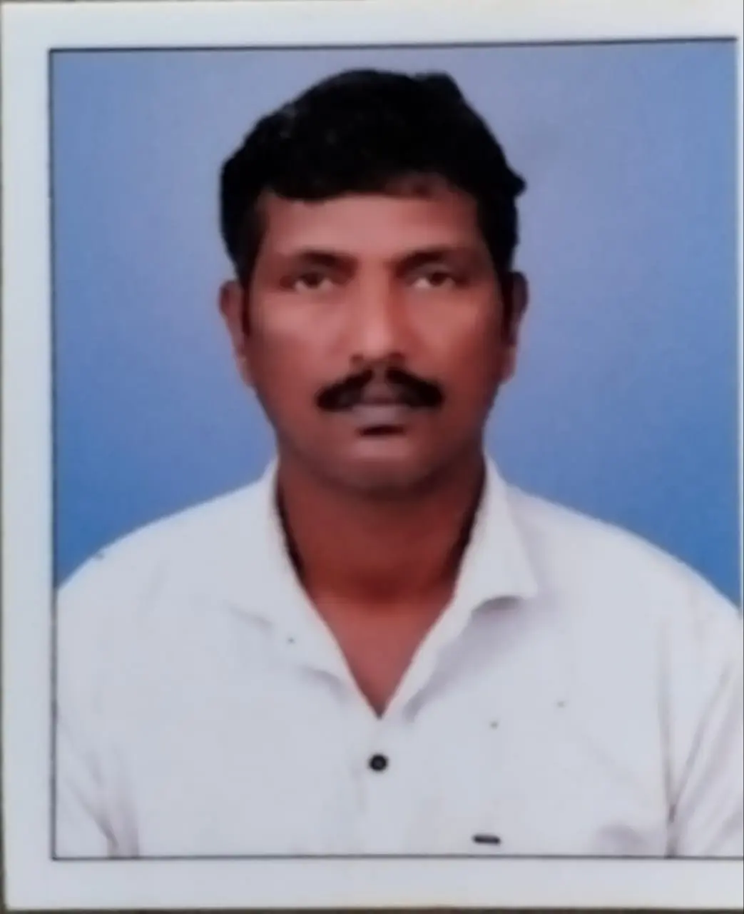 Groom Profile